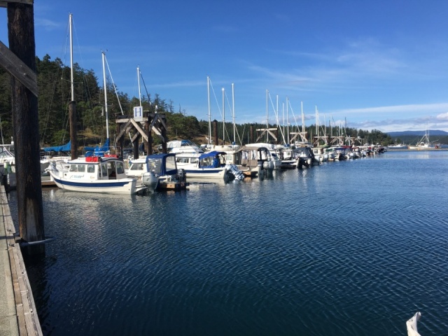 Friday afternoon H-Dock