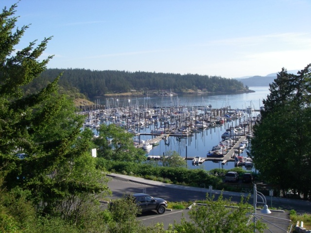 C-Dory gathering is a long walk to the left side of the marina