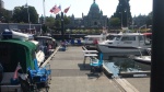 Harmony in Victoria, BC