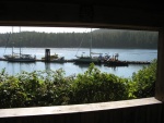 at the Hot Springs Cove dock, 2010