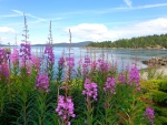 Blakely Island Marina