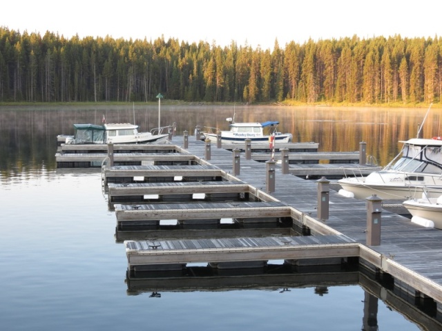 Frost on the dock today. August 16, 2015. 