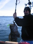 LINGCOD April 2007 