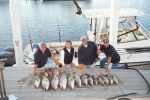 Offshore possibilities Gag Grouper and Mangrove Snapper
