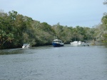 Tour of the river led by the new C-Ranger 25