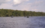 Apalachicola river cruise