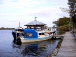 Papillon at Dock