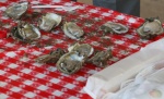 Fresh oysters--4 hours out of the bay!