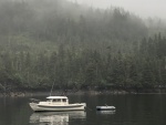 Herringbone, on anchor in Main Bay, PWS Alaska (June 2021)