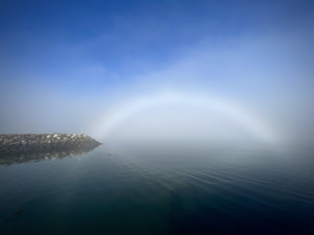 Fogbow in Seal Cove, Grand Manan Island, Bay of Fundy