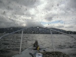 A rainy day in Southeast Alaska