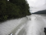 Taku River is low this year...equals good fishing