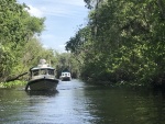Coming out of the canal between St. John\'s River and Hontoon Dead River, during the Hontoon Loop Tour