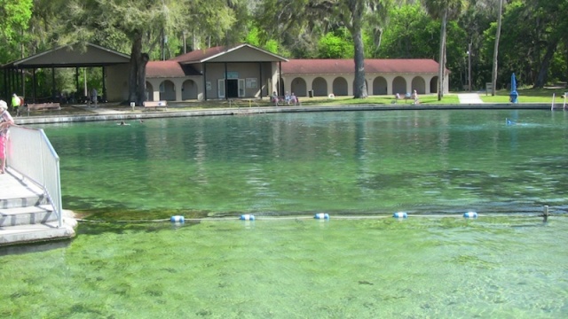 Deland Springs pool fed entirely by a natural spring. No chemicals added!