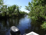 We took Peter and Becky on a full day's nature spotting trip (Birds, Turtles, Alligators and, that boat coming thru the cut looks suspiciously like.....