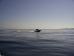 32 mile crossing,  Marina Del Rey to Isthmus Harbor, smooth as glass.