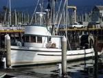 (Islander) Fishing Boat in Santa Barbara