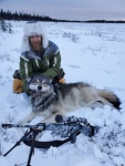 First wolf of the year. This guy & 5 or 6 of his friends have been raiding the kids trap line every night. Kid was back in the same area 01-24-2020 counted 16 different sets of wolf tracks. Great that's one of those 