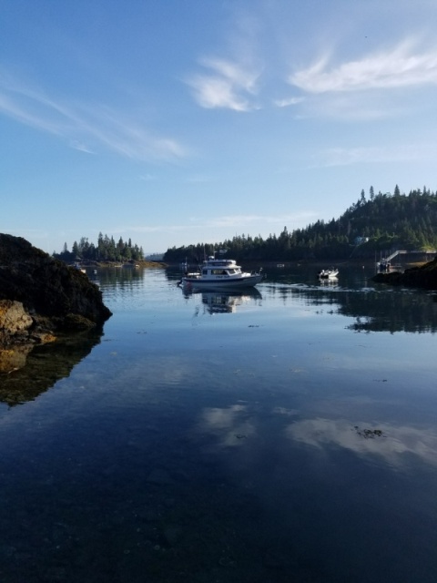 Peterson bay