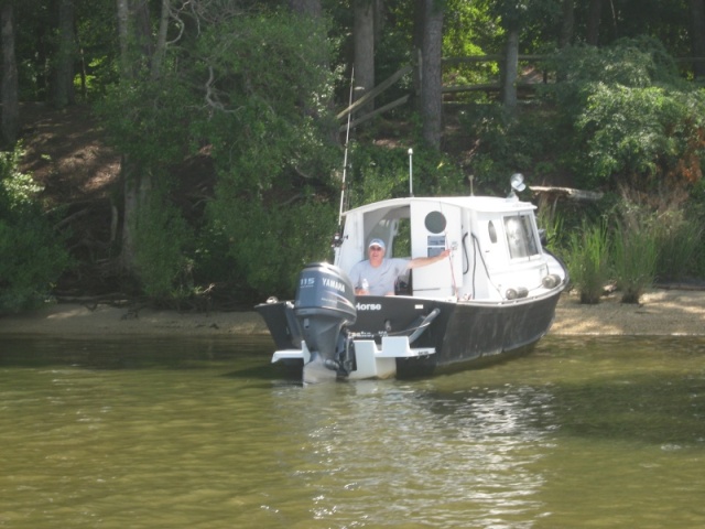 River Horse: Bruce waits for the flotilla [skimmer]