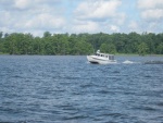 Osprey on the Chickahominy [skimmer]