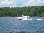 Osprey on the Chickahominy [skimmer]