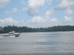 PANDY GIRL on the James River [skimmer]