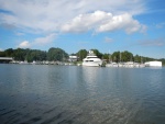 Looking across our dock from Deep Creek [osprey]