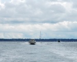 North of the James River Bridge [osprey]