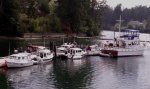 C-Dorys at Jarrell Cove Dock