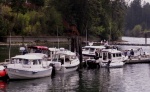 C-Dorys on the Dock at Jarrell Cove