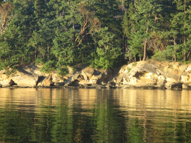 Sucia Island shoreline