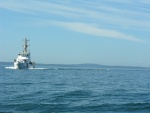 Kayaks chasing Coastie