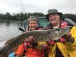 35 inch Northern Pike caught west of Edmonton yesterday. July 23 2018