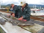 Halibut for the family again this year