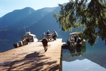 Dock at Lake Crescent