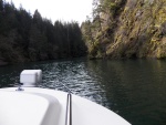 Steep canyon walls and lots of moss in the trees.