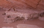 Anasazi Kiva at Defiance House in Forgotten Canyon 9-23-08