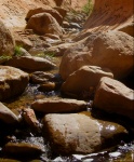 Fifty Mile Canyon Stream Bed 9-22-09