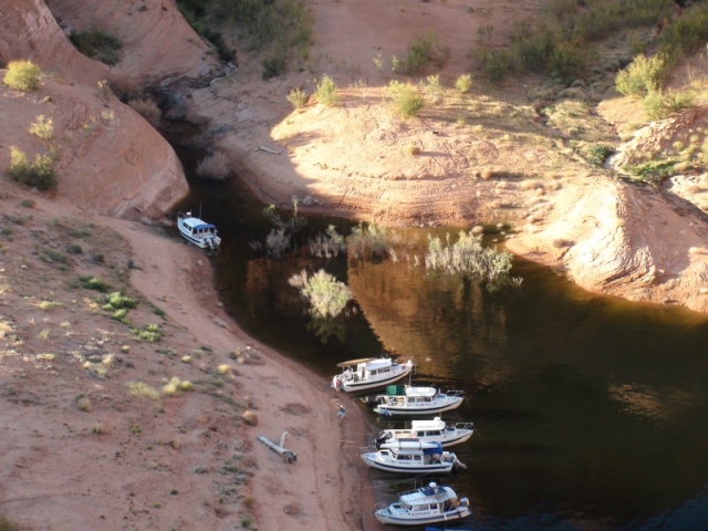 far to near HunkyDory, Coyote, Two Bears, Bossa Nova, Nauti-Gal, Gypsy River at Oak Canyon