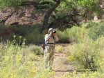 Static wandering Sagebrush...