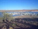 Highlight for Album: Lake Powell - April 2006