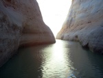 (Cygnet) Going up to Rainbow Bridge