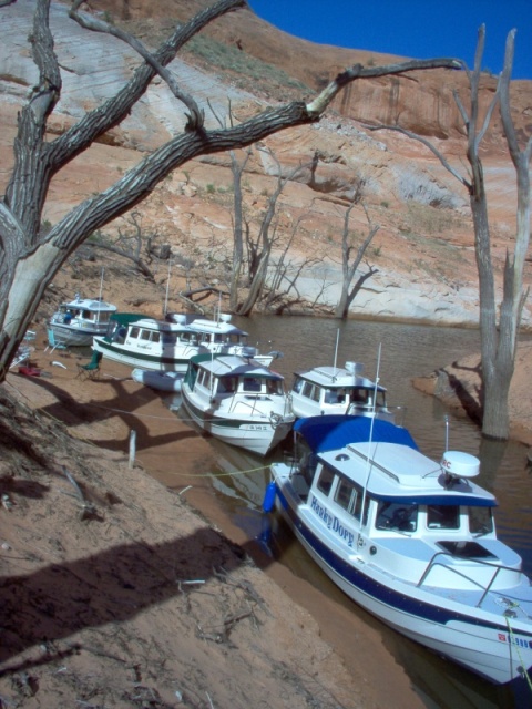 (Cygnet) Forgotten Canyon,  start of Defiance House path