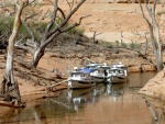 (Hunkydory) Forgotten Canyon-Gathered to see Defiance Site