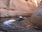 Jay out for a cruise in the Mokai Secret Canyon