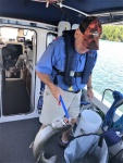 C-Otter Tom working on a Lake Trout