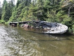 Old wreck in Chippewa Harbor 
