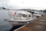 The flotilla on the dock at Ivars.