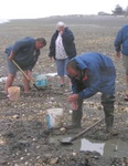 (Pat Anderson) Roger, Lisbeth and Jon Clam Digging at DNR Beach